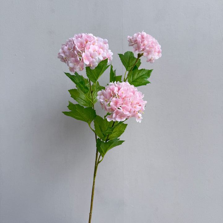 Decoratieve Hortensia Steel