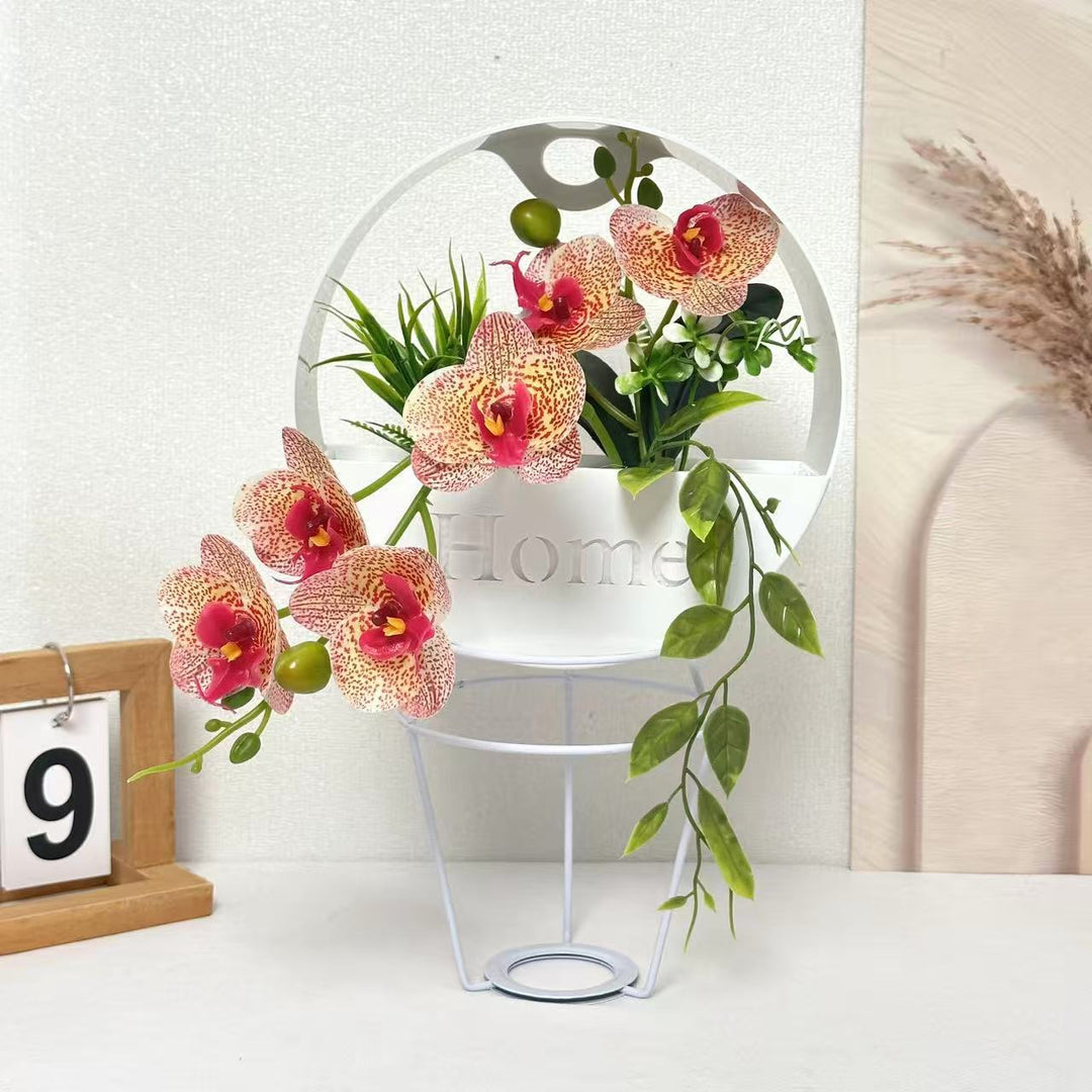 Decoratieve Binnen Planten Arrangement