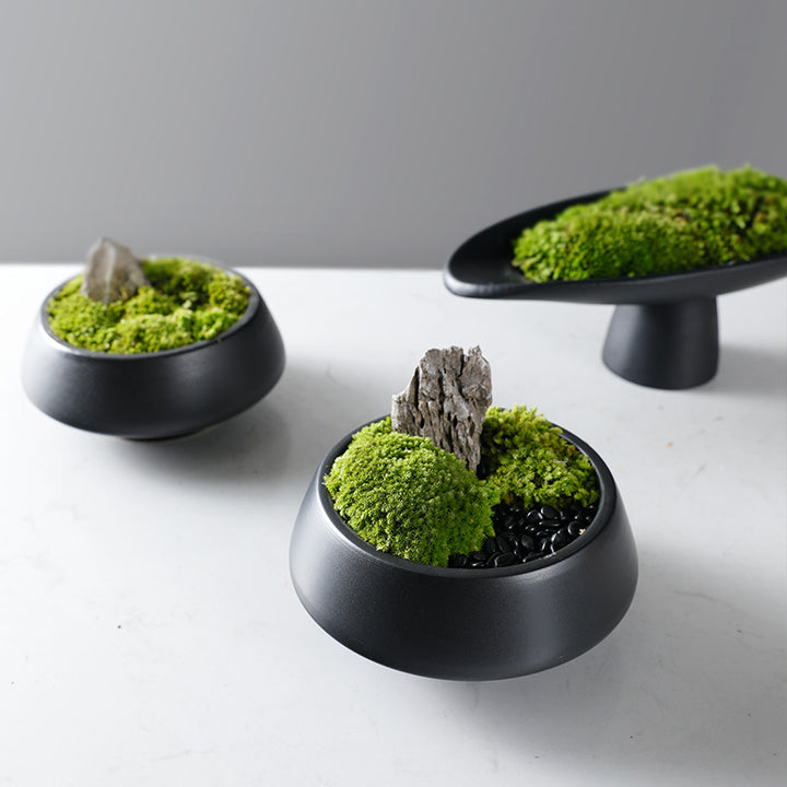 Decoratieve Mos Kom met Pedestal Basis