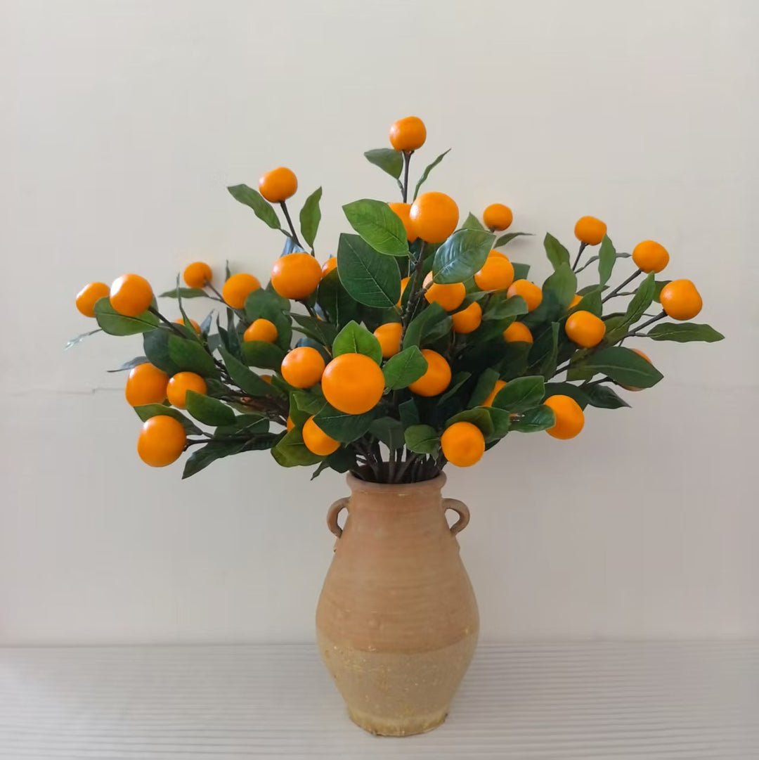 Decoratieve Citrusvruchtsteel