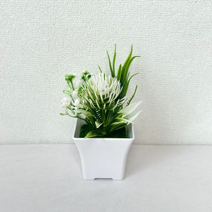 Decoratieve Nepplant voor Huishouddecoratie Display