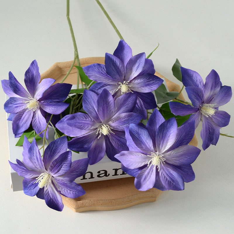 Decoratieve Florale Clematis Stengel