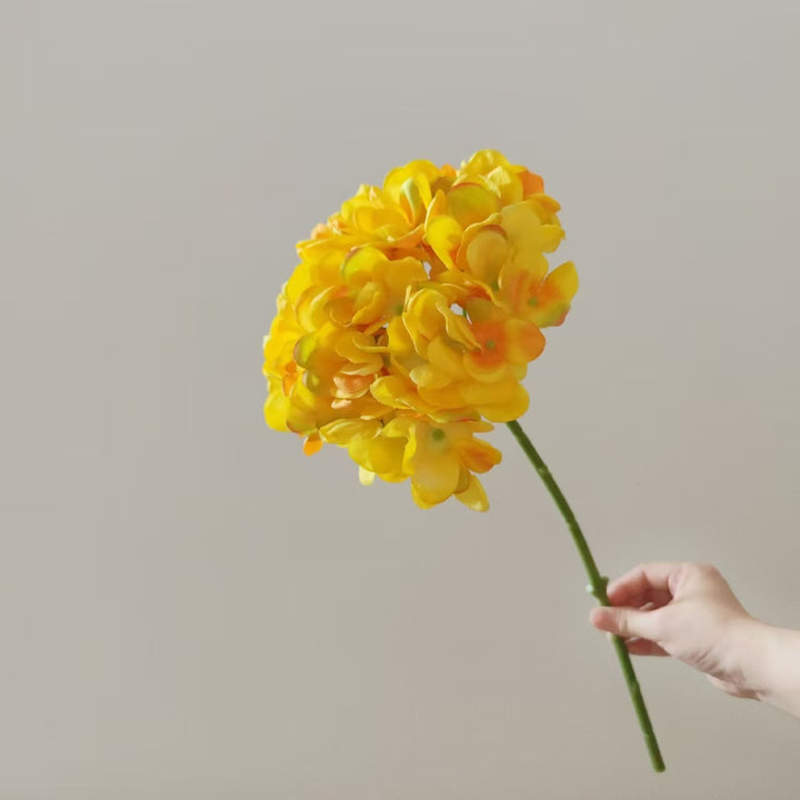 Nep Orchidee Steel