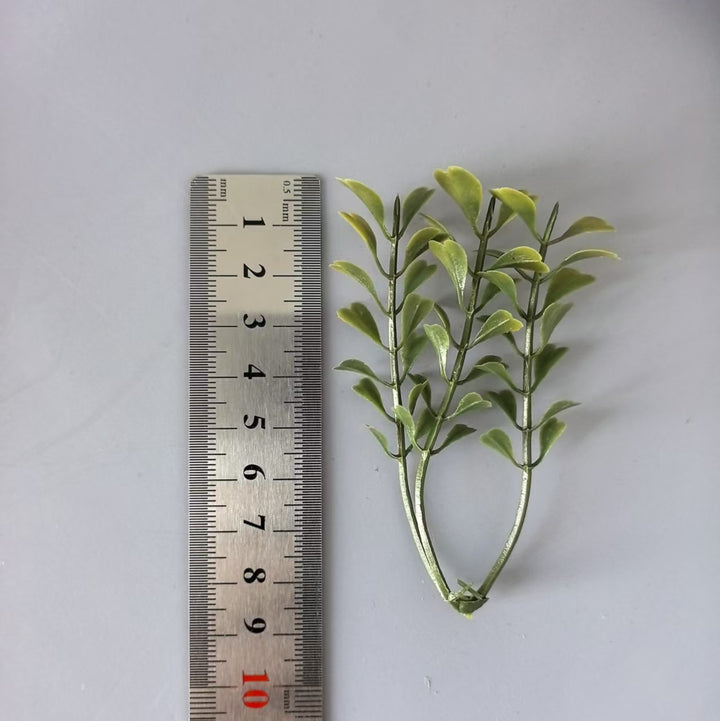 Decoratieve Groene Varensteel