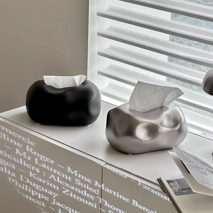 Modern Abstract Tissue Box Houder