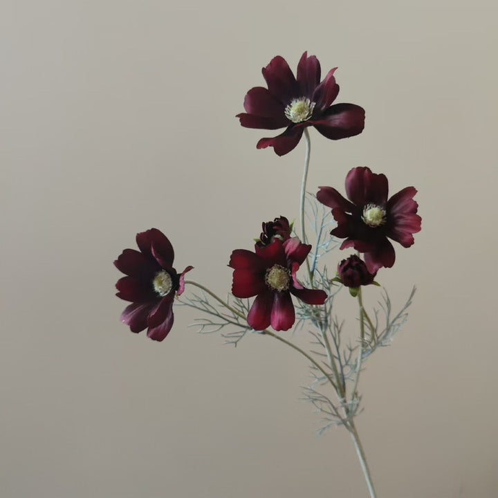 Levensechte Cosmos Bloem Steel