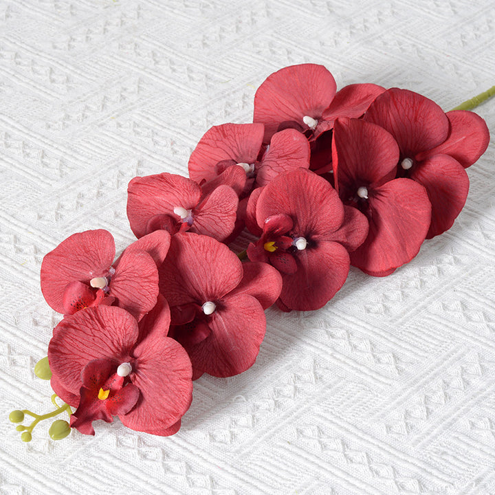 Elegante Kunstmatige Orchidee Stelen