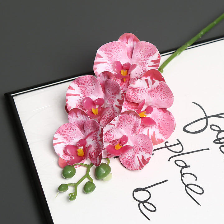 Levensechte Orchidee Bloem Steel