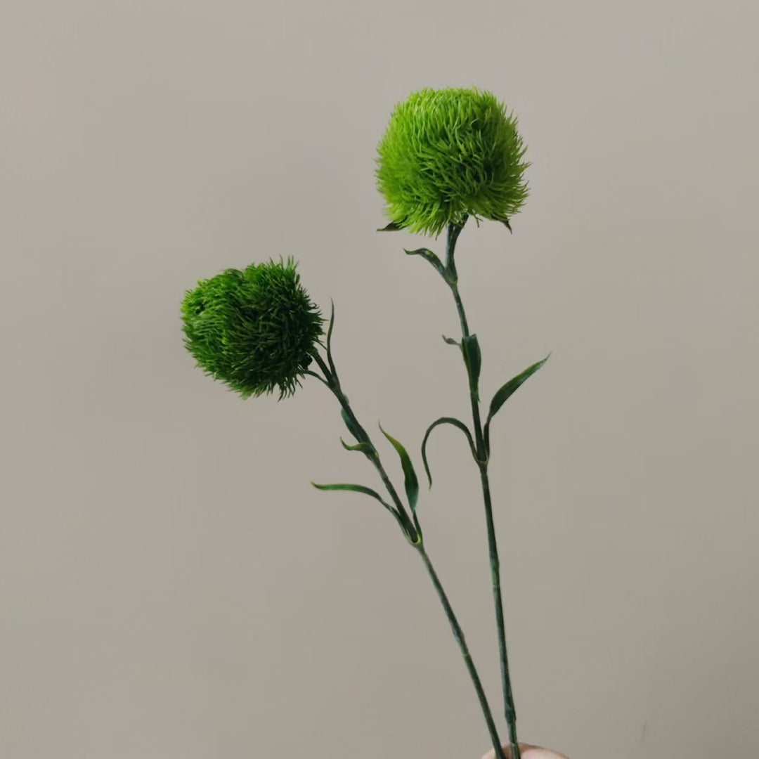 Levensechte Decoratieve Groene Tak
