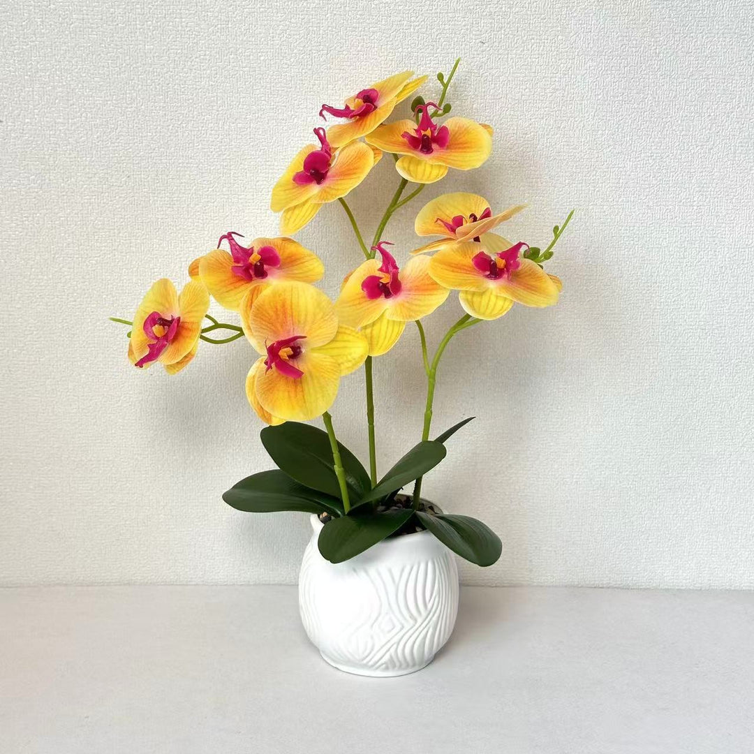 Elegante Orchidee Bloemdecoratie
