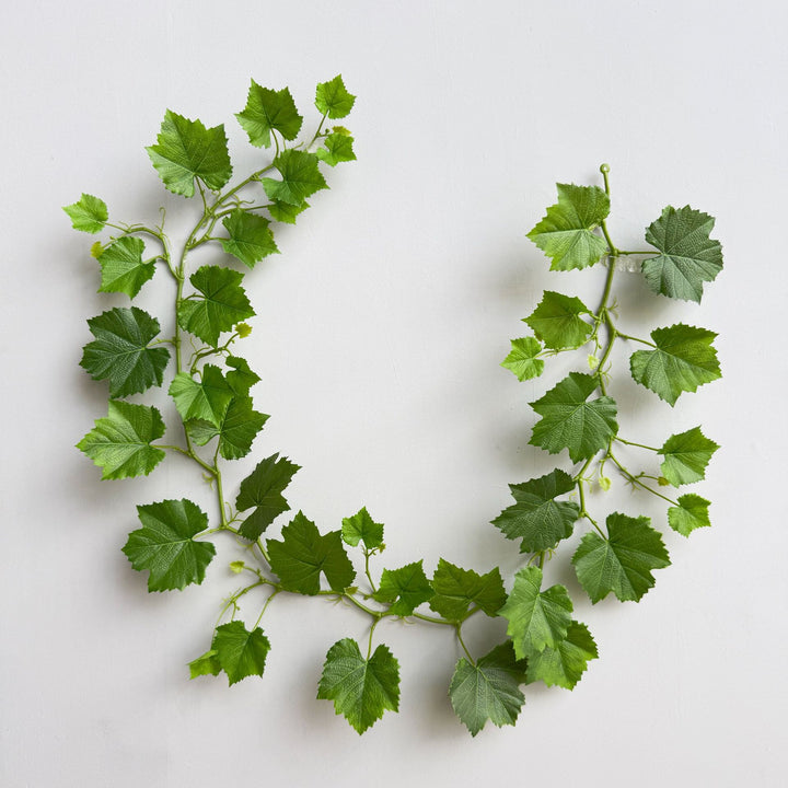 Weelderige Groene Decoratieve Wijnstok