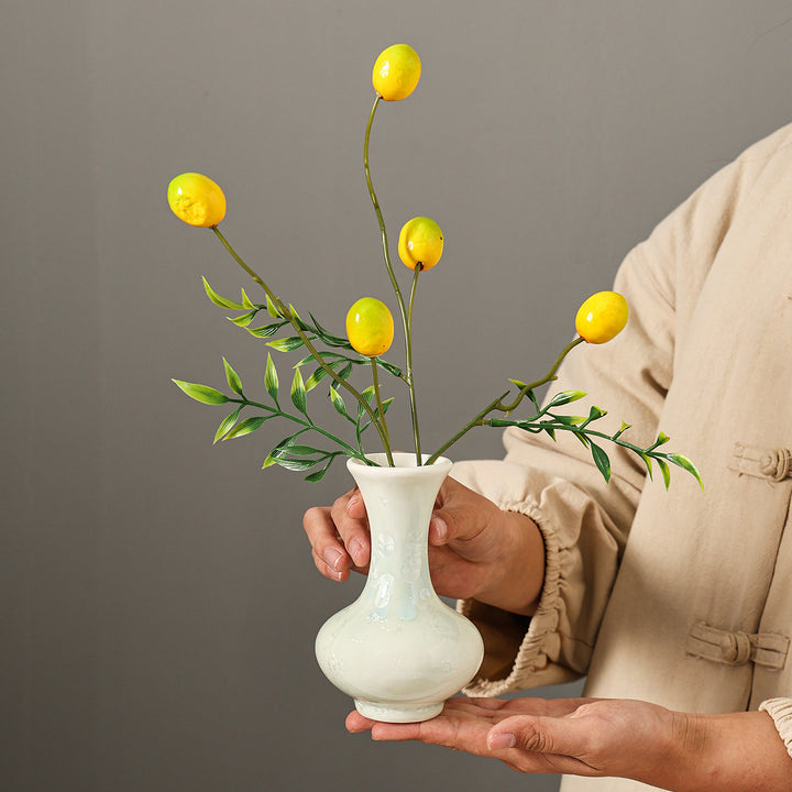 Decoratieve Minimalistische Bloemvaas