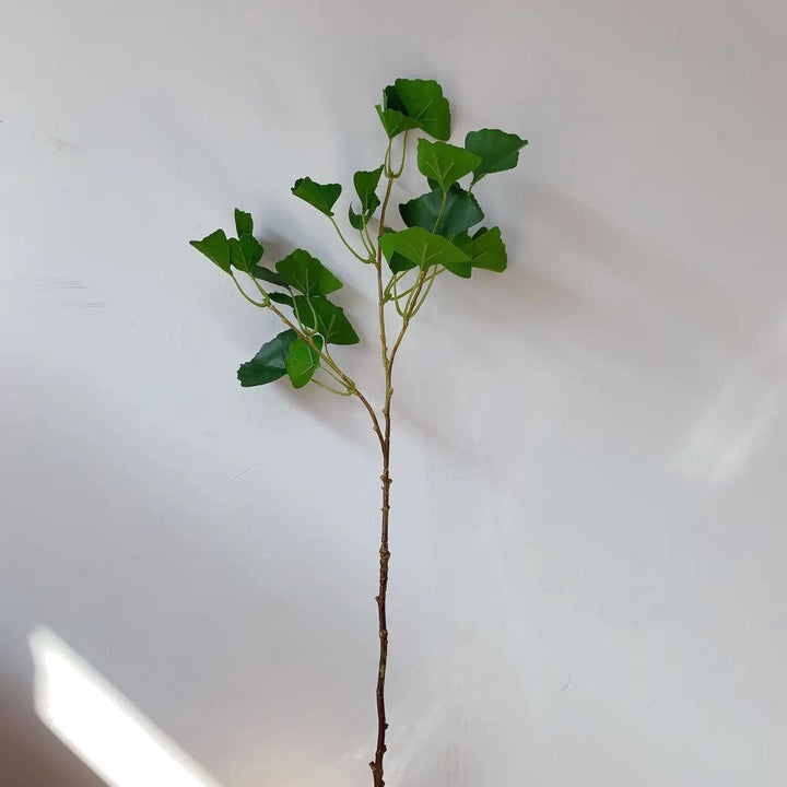Ginkgo Biloba Decoratieve Tak
