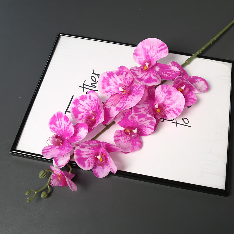 Nepatuur Orchidee Bloemsteel voor Woondecoratie Display