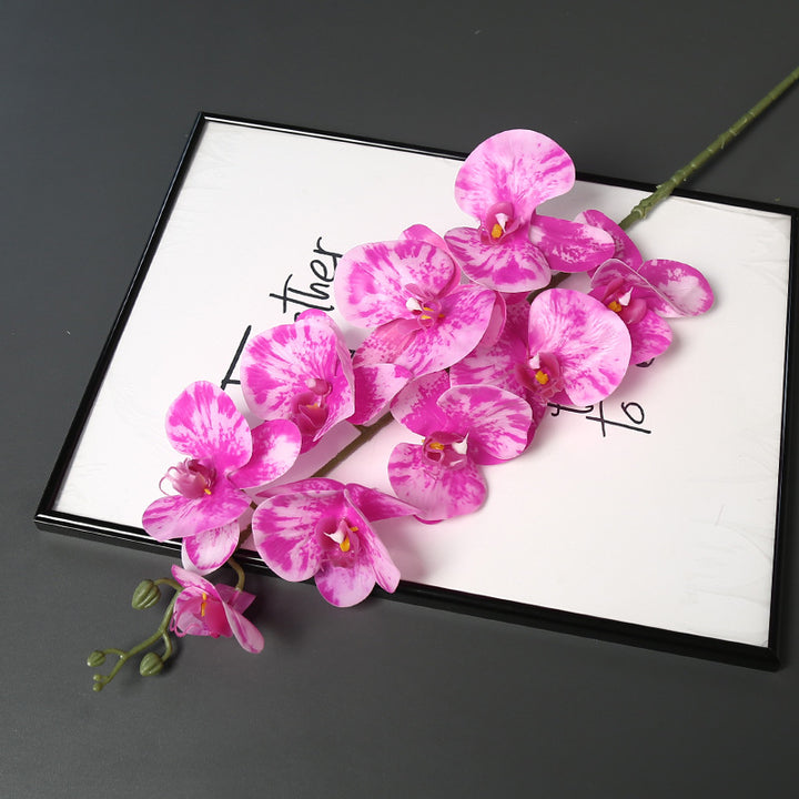 Nepatuur Orchidee Bloemsteel voor Woondecoratie Display