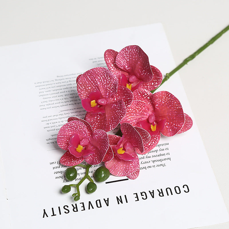 Realistische Orchidee Bloem Stem