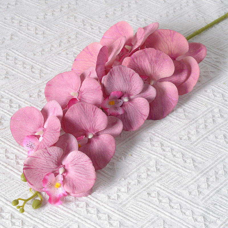 Elegante Kunstmatige Orchidee Stelen