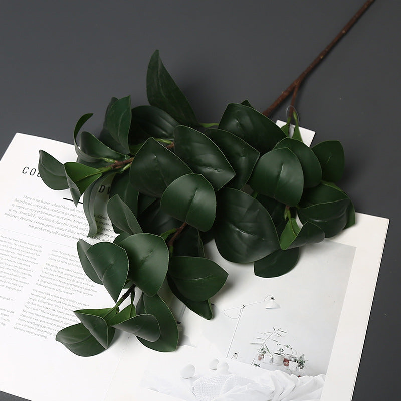 Realistische Groene Planten