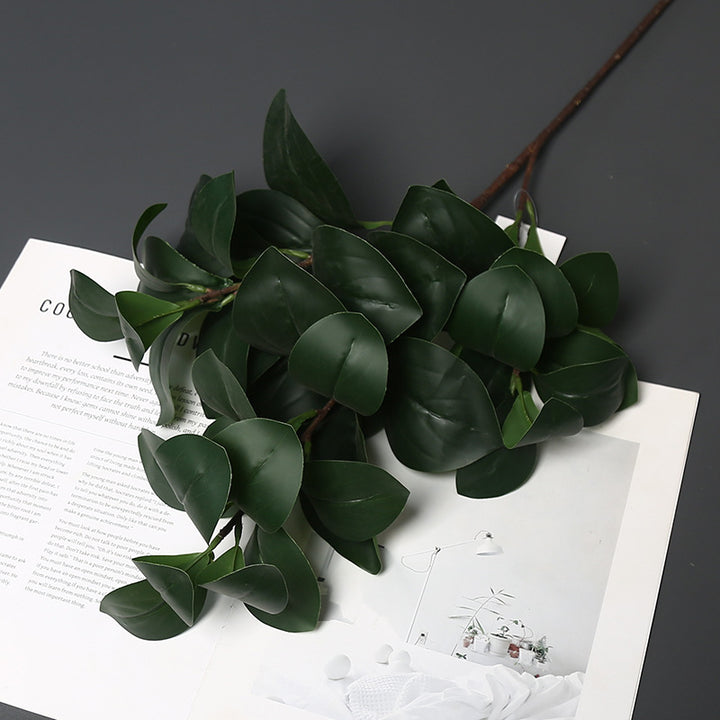 Realistische Groene Planten