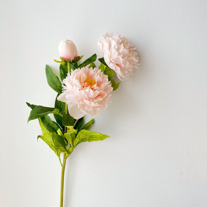 Nep Peony Bloemsteel