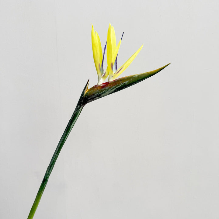 Decoratieve Bloemendisplay