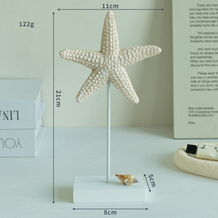 Kust Zeester Sculptuur Display