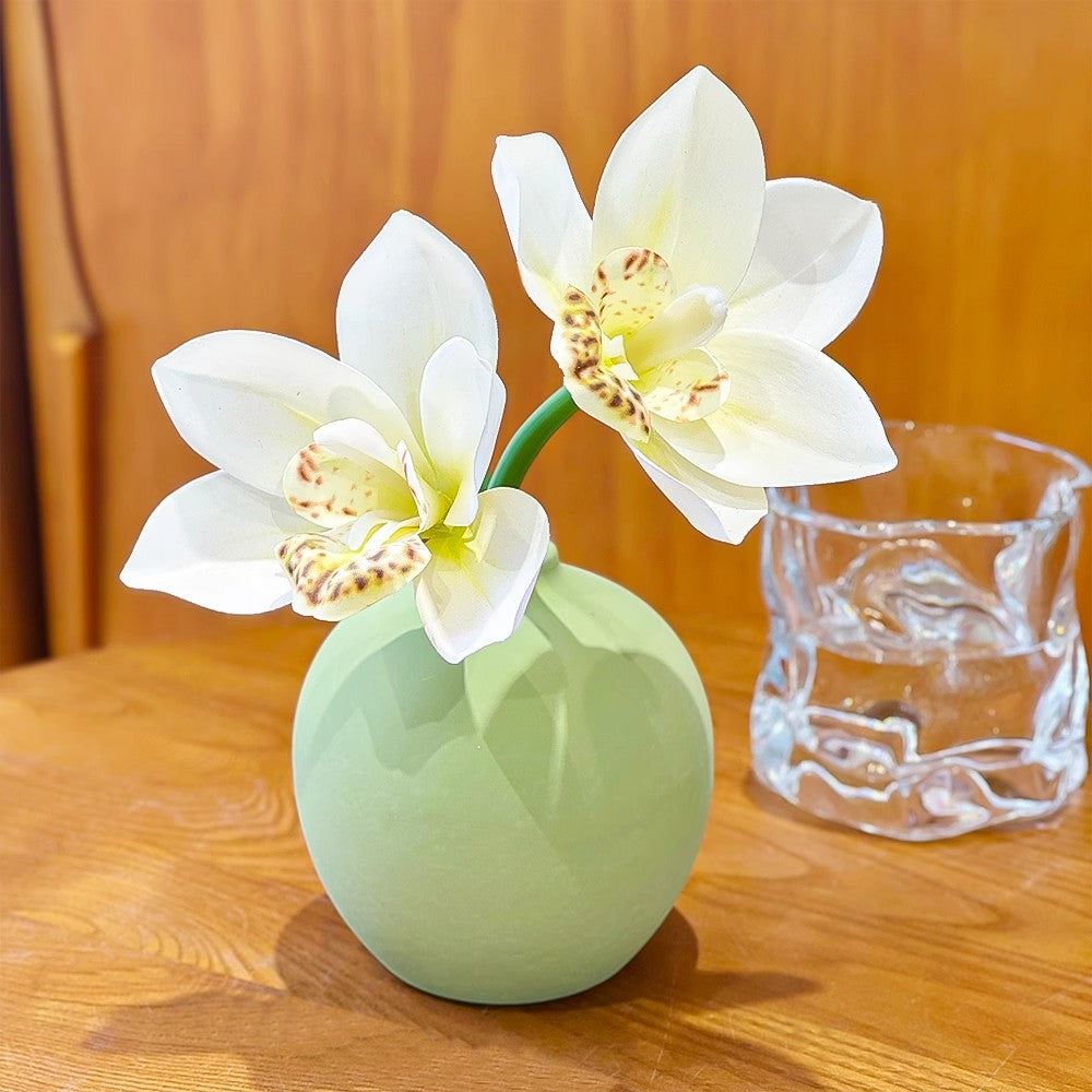 Home Decoratieve Keramische Vaas voor Huisdecoratie