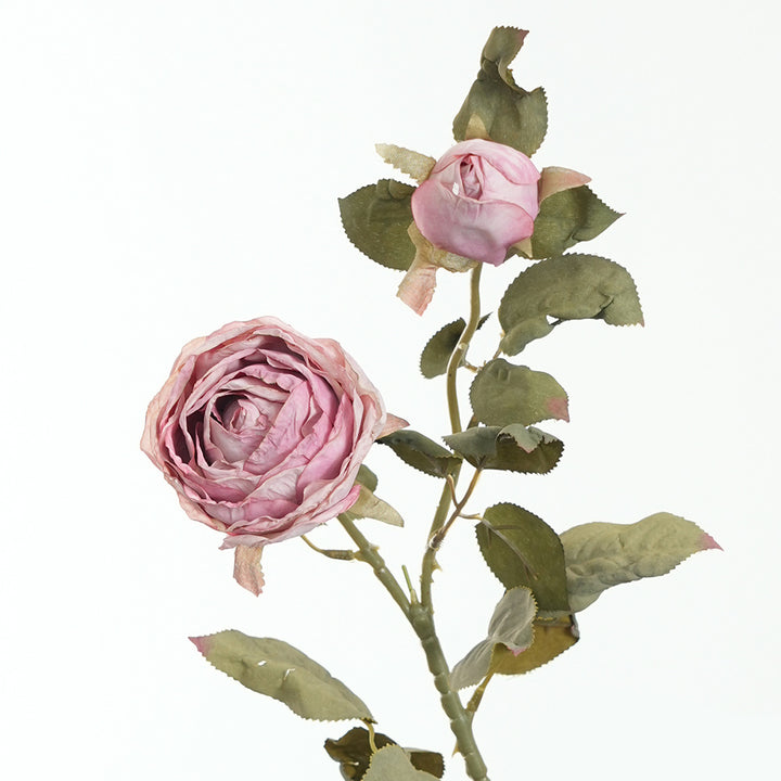 Levensechte Roze Rozensteel