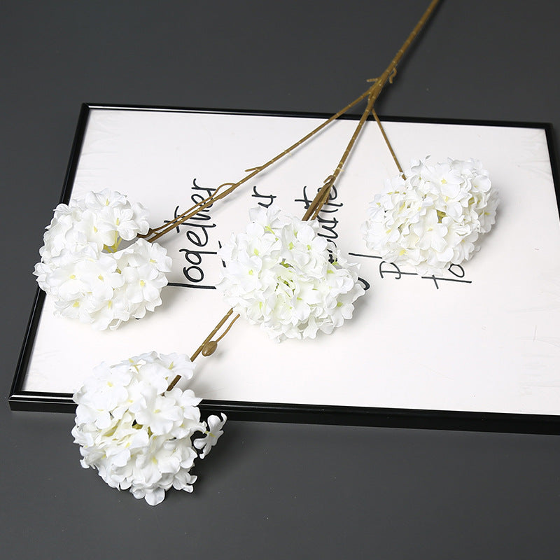 Decoratieve Gedroogde Bloemenstengel voor Hu decoration