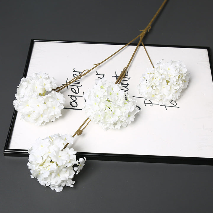 Decoratieve Gedroogde Bloemenstengel voor Hu decoration