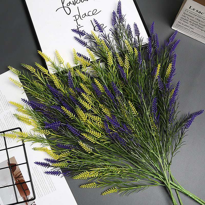 Lavender Bloem Stengel