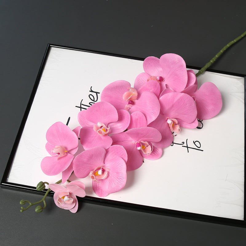 Nepatuur Orchidee Bloemsteel voor Woondecoratie Display