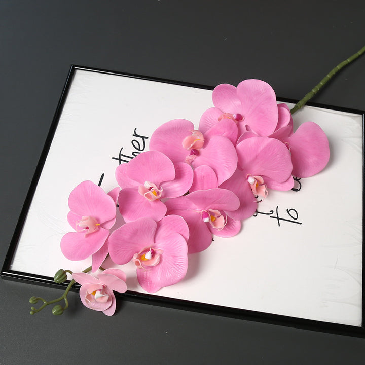 Nepatuur Orchidee Bloemsteel voor Woondecoratie Display