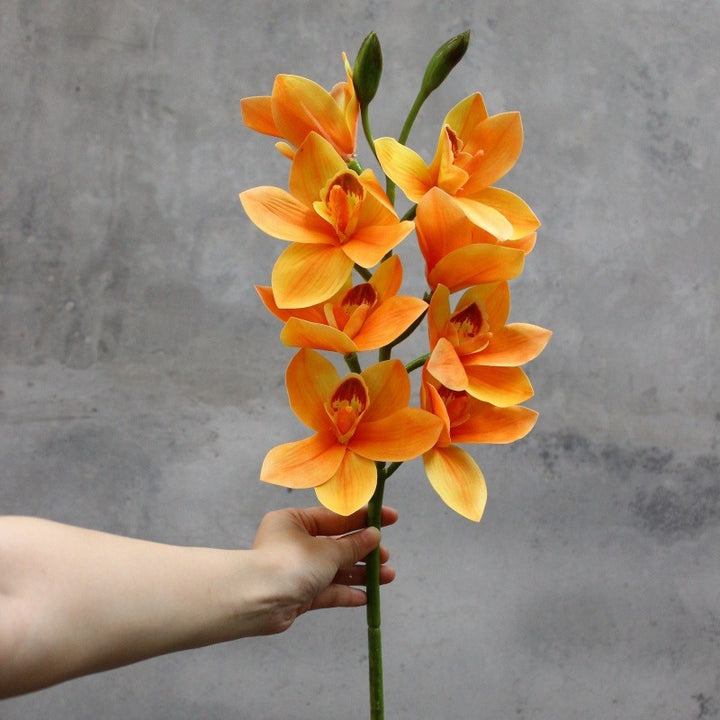 Decoratieve Orchidee