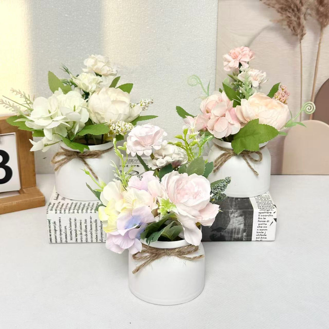 Decoratieve Keramische Pot voor Thuis Planten Display