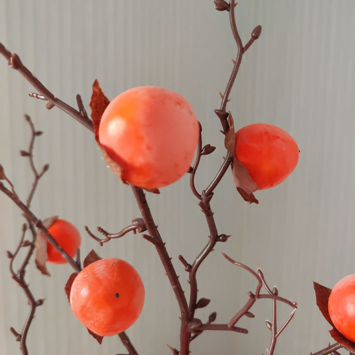 Decoratieve Herfst Fruithalm
