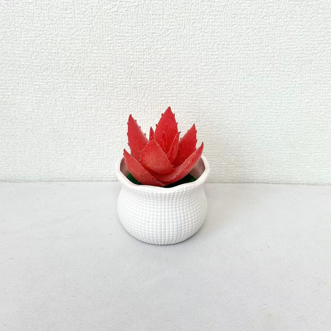 Decoratieve Nep Cactus Arrangement