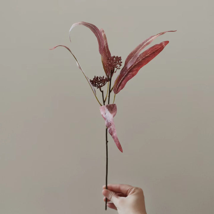 Natuurlijk Gedroogde Bloemenstengel