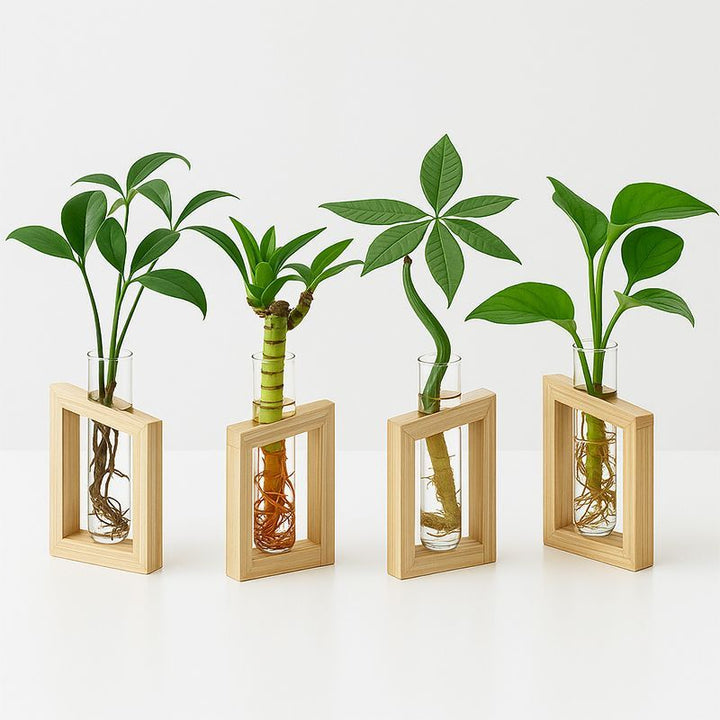 Elegante Glazen Plantenhouder Set voor Thuisdecoratie