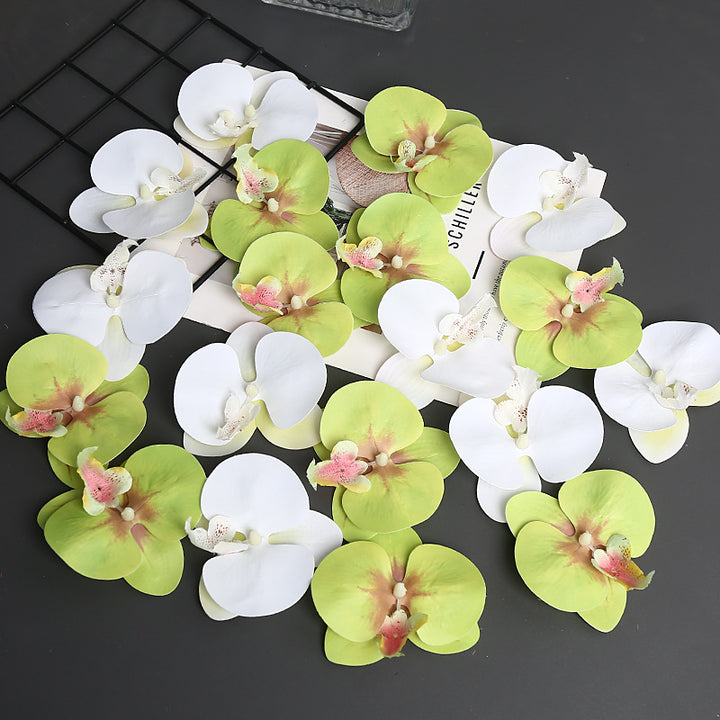 Decoratieve Orchidee Petal voor Thuisdecoratie Display