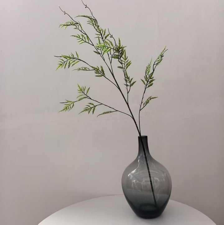 Decoratieve Nepplant