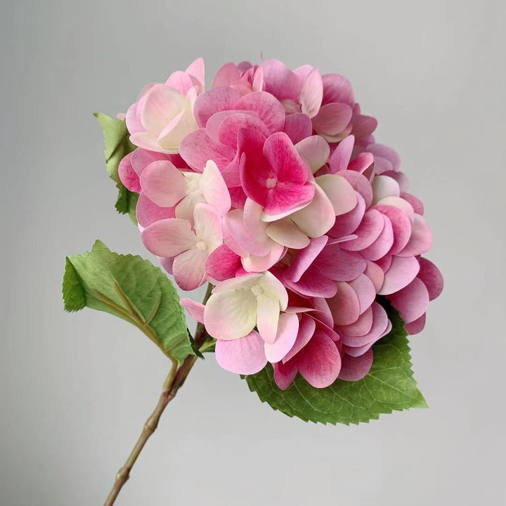 Levensechte Hortensia Steel