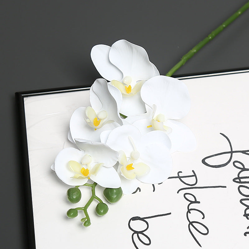 Levensechte Orchidee Bloem Steel