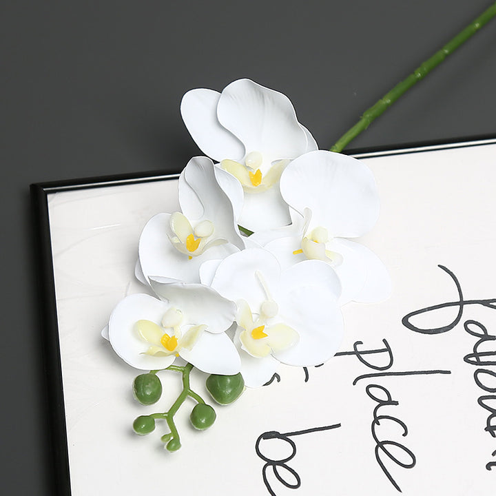 Levensechte Orchidee Bloem Steel