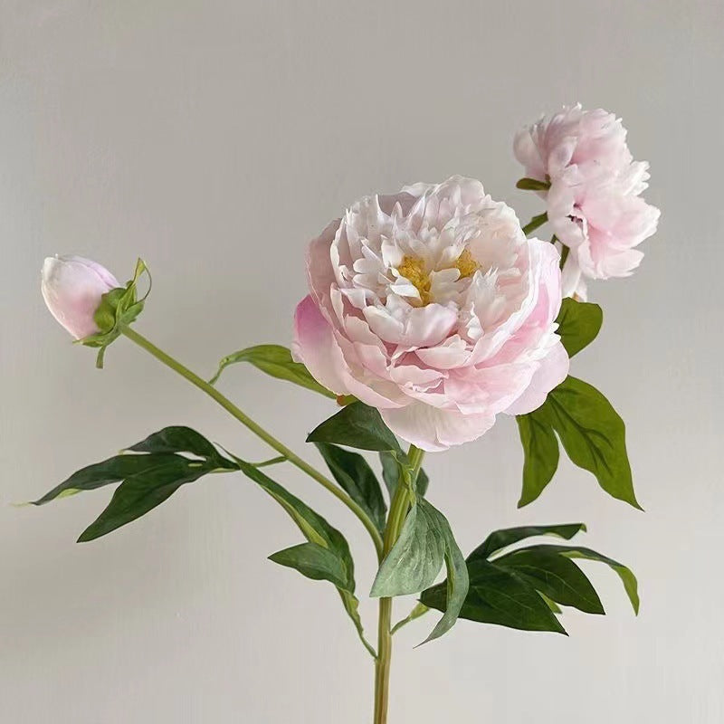 Nep Peony Bloemsteel