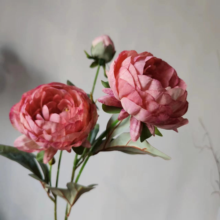 Elegante Pioenbloem Steel