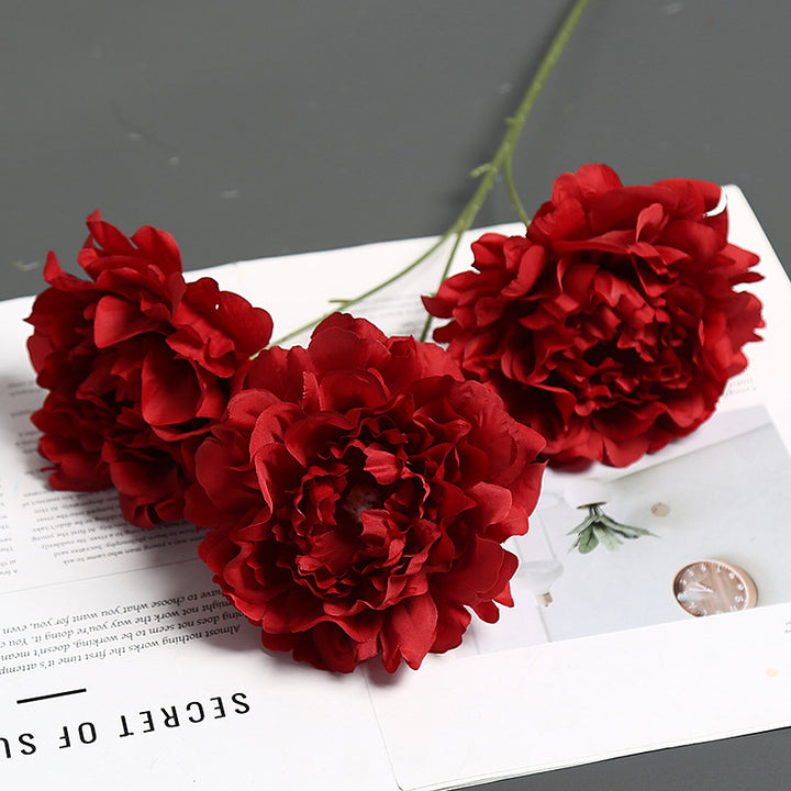 Elegante Pioen Rozen Bloemsteel voor Woondecoratie Tentoonstelling