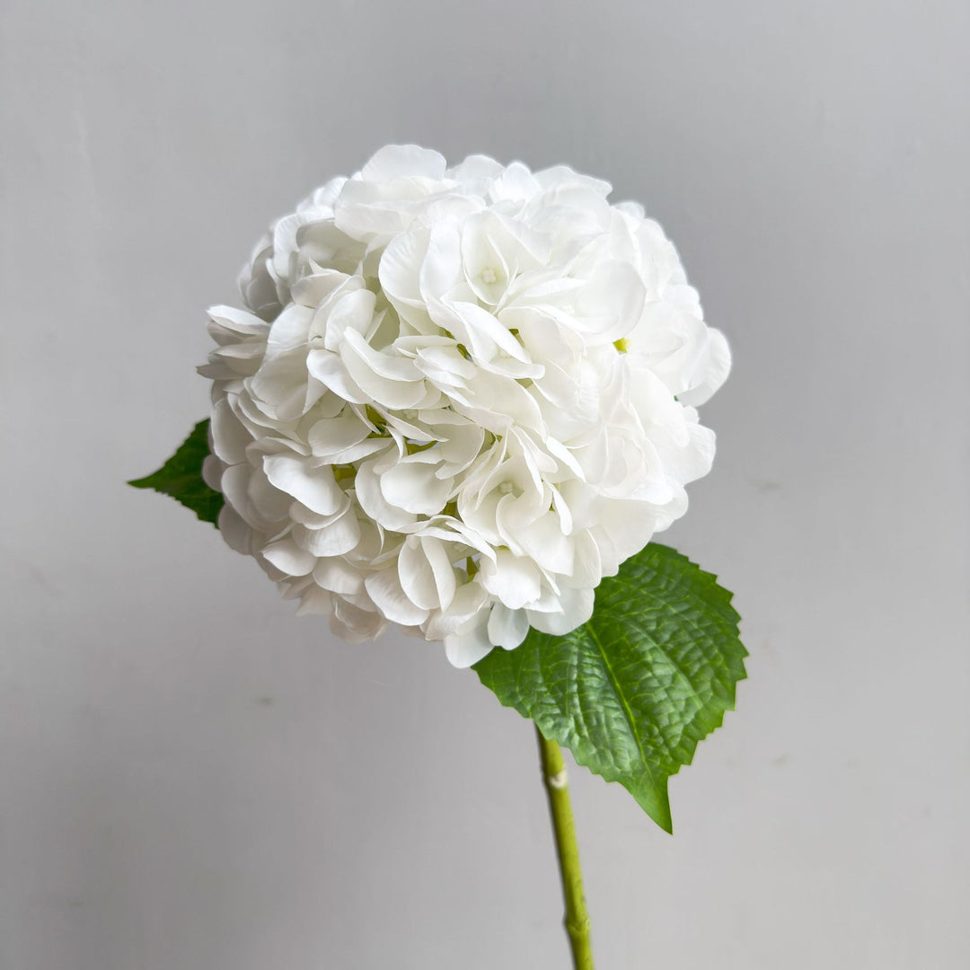 Levensechte Hortensia Steel