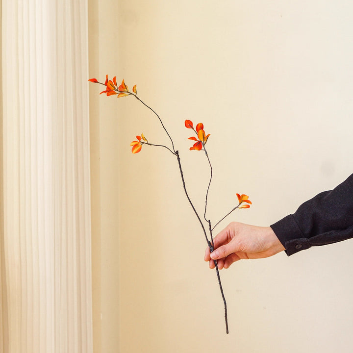 Decoratieve Natuurlijke Takkenarrangement