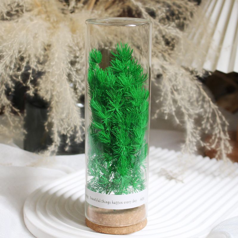 Geconserveerde Bloemdisplay in Elegante Glazen Cilinder